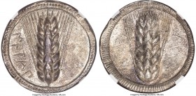 LUCANIA. Metapontum. Ca. 540-510 BC. AR stater (27mm, 7.50 gm, 12h). NGC AU 5/5 - 3/5. METAΠ, seven-grained barley ear; dotted border on raised outer ...
