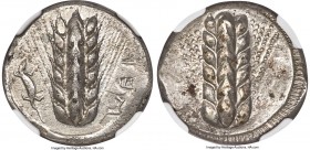 LUCANIA. Metapontum. Ca. 470-440 BC. AR stater (21mm, 7.24 gm, 12h). NGC AU 5/5 - 3/5. MET (retrograde), six-grained barley ear; lizard upward to left...