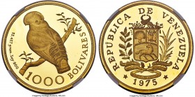Republic gold Proof "Cock of the Rock" 1000 Bolivares 1975-(l) PR69 Ultra Cameo NGC, British Royal mint, KM-Y48.1, Fr-8. Mintage: 483. Detailed wings ...