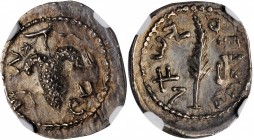 JUDAEA. Bar Kochba Revolt, 132-135 C.E. AR Zuz (3.37 gms), Jerusalem Mint, Year 2 (133/4 C.E.). NGC MS★, Strike: 5/5 Surface: 5/5.
Mildenberg-40 (O7/...