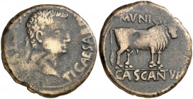 Cascantum (Cascante). Tiberio. As. (FAB. 690) (ACIP. 3159). 12,60 g. Números 179 escritos a tinta en anverso. BC+/MBC.