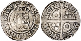 Ferran II (1479-1516). Barcelona. Croat. (Cru.V.S. 1141.7) (Badia 809, mismo ejemplar) (Cru.C.G. 3070f var). 3,20 g. MBC.