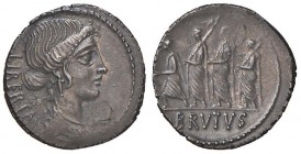Junia – M. Junius Brutus - Denario (54 a.C.) Testa della Libertà a d. – R/ Il console andante a s. con dei littori – B. 31; Cr. 433/1 AG (g 3,74)
SPL...