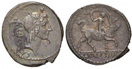 Valeria – L. Valerius Acisculus - Denario (45 a.C.) Testa di Apollo Sorano a d. - R/ Valeria Luperca su giovenca a d. – B. 17; Cr. 474/1a AG (g 4,14) ...