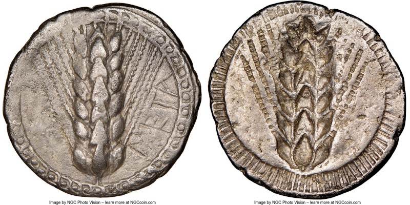 LUCANIA. Metapontum. Ca. 510-470 BC. AR stater (24mm, 7.34 gm, 12h). NGC Choice ...