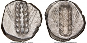 LUCANIA. Metapontum. Ca. 470-440 BC. AR stater (18mm, 7.34 gm, 6h). NGC Choice VF 4/5 - 3/5. META, six-grained barley ear; dotted border on raised rim...