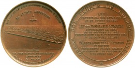 Ausländische Münzen und Medaillen, Argentinien, Republik, seit 1881
Bronzemedaille 1889 von Adams, London. Errichtung des Hafens von Buenos Aires. 60 ...