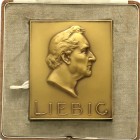 Medaillen, Medicina in Nummis, Personenmedaillen, Liebig, Justus Freiherr von, 1803 Darmstadt - 1873 München, Chemiker und Erfinder des Fleischextrakt...