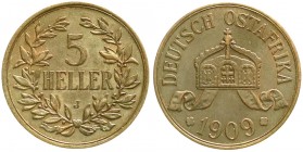 Kolonien und Nebengebiete, Deutsch Ostafrika
5 Heller 1909 J. Größte deutsche Kupfermünze. gutes sehr schön, kl. Randfehler