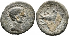 MYSIA. Cyzicus. Uncertain, mid 1st century BC to mid 1st century AD. AE (Bronze, 16 mm, 1.45 g, 11 h). NЄOY ΘЄOY Bare head to right. Rev. KYZI Caprico...