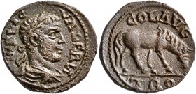 TROAS. Alexandria Troas. Valerian I, 253-260. 'As' (Bronze, 19 mm, 6.25 g, 6 h). IMP LIC VALERIA Laureate, draped and cuirassed bust of Valerian I to ...