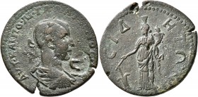 PAMPHYLIA. Side. Gallienus, 253-268. Pentassarion (Bronze, 30 mm, 12.89 g, 6 h). AYT KAI ΠΟ ΛI ΓAΛΛIHNOC CЄB Laureate, draped and cuirassed bust of Ga...