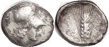 METAPONTUM, Diobol, 330-300 BC, Athena head r/corn ear, cornucopiae at rt, S421 ...