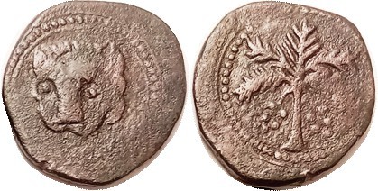 ITALY , Normans of Sicily, William II, 1166-89. Æ Trifollaro, 26 mm, Lion head f...