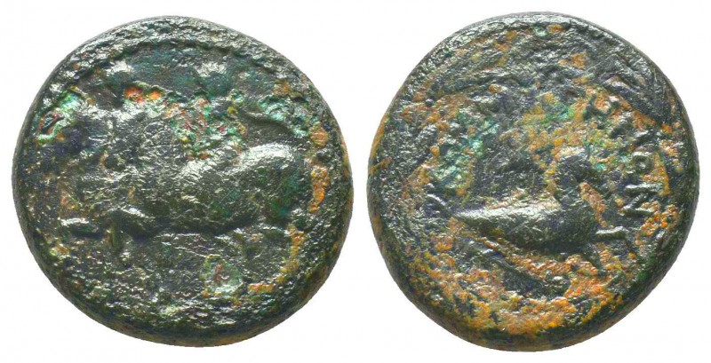 KINGS OF COMMAGENE. Epiphanes and Kallinikos (72). Ae. Commagene. Obv: BACIΛΕΩC ...