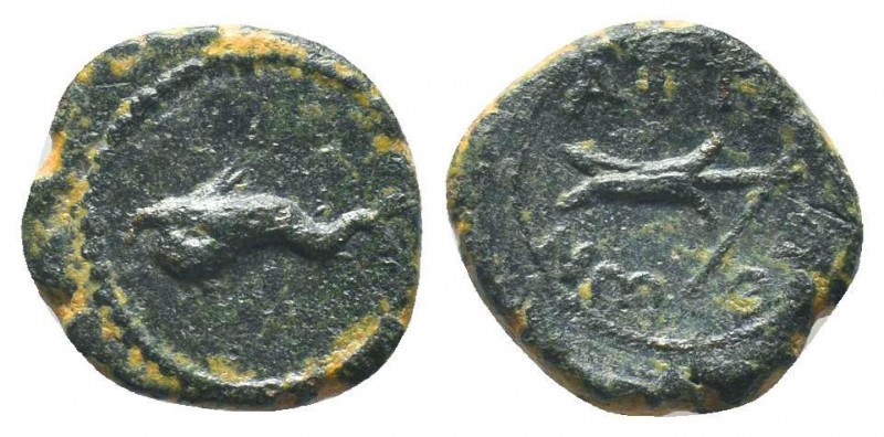 PAMPHYLIA, Attaleia c. 10-100 AD, AE

Condition: Very Fine

Weight: 2.00 gr
Diam...