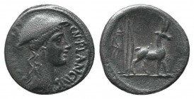 Plancius. Denarius; Cn. Plancius; 55 BC, Denarius,

Condition: Very Fine

Weight: 3.30 gr
Diameter: 18 mm