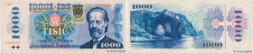 Country : SLOVAKIA 
Face Value : 1000 Korun 
Date : (1993) 
Period/Province/Bank : Slovak National Bank 
Catalogue reference : P.19 
Alphabet - signat...