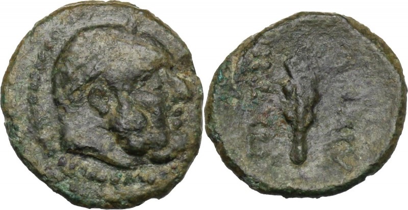 Greek Italy. Bruttium, Petelia. AE 12 mm. Late 3rd century BC. D/ Bearded head o...