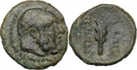Greek Italy. Bruttium, Petelia. AE 12 mm. Late 3rd century BC. D/ Bearded head of Herakles right, wearing tainia. R/ ΠΕΤΗΛΙΝΩΝ. Club. HN Italy 2459; S...