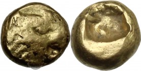Greek Asia. Ionia, uncertain mint. AV 1/24 Stater, c. 600-550 BC. D/ Head of lion right. R/ Incuse square punch. Apparently unslisted in the standard ...