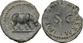 Domitian (81-96). AE Quadrans. D/ IMP DOMIT AVG GERM round SC. R/ Rhinoceros right. RIC 434. AE. g. 2.31 mm. 17.80 Nice untouched green gray patina. A...