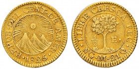 GUATEMALA
Zentralamerikanische Republik. 1/2 Escudo 1825. 1.70 g. KM 5. Fr. 30. Sehr schön-vorzüglich / Very fine-extremely fine.