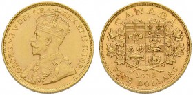 KANADA
George V. 1910-1936. 5 Dollars 1912, Ottawa. 8.35 g. Schl. 853. Fr. 4. Vorzüglich / Extremely fine.
