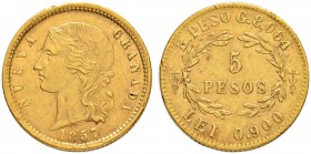 KOLUMBIEN
Republik Nueva Granada, 1837-1859. 5 Pesos 1857, B-Bogota. 8.04 g. KM 120.1. Fr. 82. Selten / Rare. Kleiner Schrötlingsfehler und leichte F...