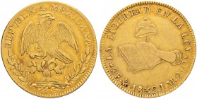 MEXIKO
Republik, 1823-1864. 8 Escudos 1832, JM-Mexico City. 27.02 g. KM 383.9. Fr. 43. Selten / Rare. Gutes sehr schön / Good very fine.