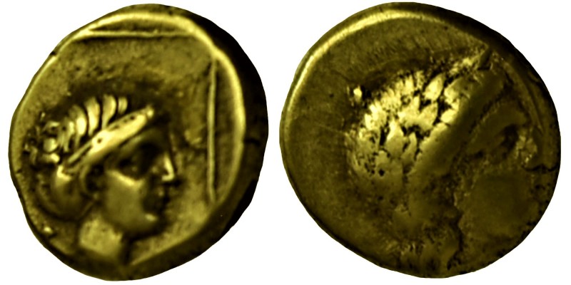Lesbos, Mytilene EL Hekte. Circa 377-326 BC. Laureate head of Apollo right / Hea...