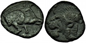 Mysia. Kyzikos circa 525-475 BC. 
Tetartemorion Forepart of boar right; tunny to left / Head of roaring lion left; K to upper left; all within incuse ...