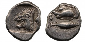 Greek, Mysia, c. 525-475 BC, AR Hemiobol, Kyzikos
Obverse: Forepart of boar left; to right, tunny upward
Reverse: Head of roaring lion left; retrograd...