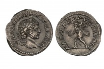 Caracalla AR Denarius. Rome, AD 210-213. 
ANTONINVS PIVS AVG BRIT, laureate bust right / MARTI PROPVGNATORI, Mars walking left, holding spear and trop...