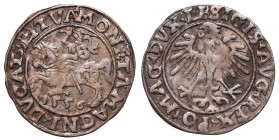 Collection of polish halfgroats
Sigismund II Augustus, Halfgroat 1556, Vilnius 
 Sigismund II Augustus, Halfgroat 1556, Vilnius Obiegowy egzemplarz....