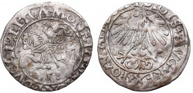 Collection of polish halfgroats
Sigismund II Augustus, Halfgroat 1558, Vilnius 
 Sigismund II Augustus, Halfgroat 1558, Vilnius Obiegowy egzemplarz....