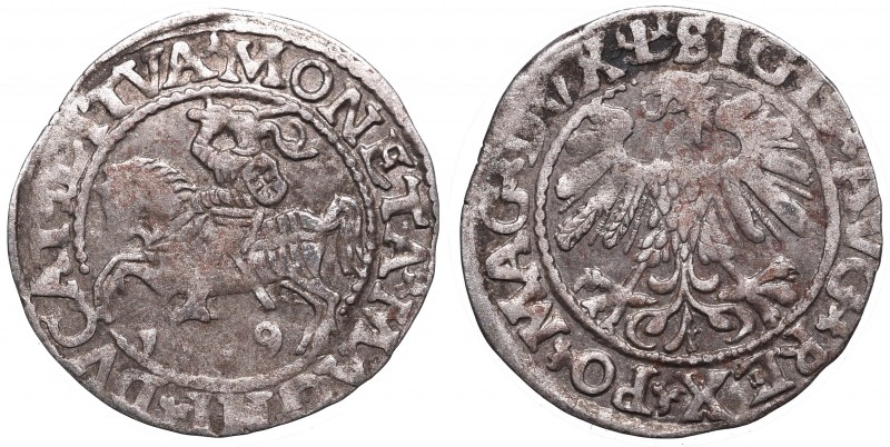 Collection of polish halfgroats
Sigismund II Augustus, Halfgroat 1559, Vilnius ...