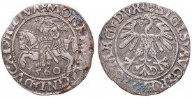 Collection of polish halfgroats
Sigismund II Augustus, Halfgroat 1560, Vilnius 
 Sigismund II Augustus, Halfgroat 1560, Vilnius Bardzo ładny egzempl...
