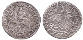 Collection of polish halfgroats
Sigismund II Augustus, Halfgroat 1563, Vilnius 
 Sigismund II Augustus, Halfgroat 1563, Vilnius Obiegowy egzemplarz ...