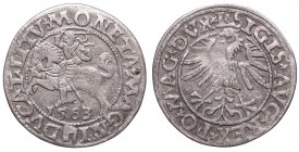 Collection of polish halfgroats
Sigismund II Augustus, Halfgroat 1563, Vilnius 
 Sigismund II Augustus, Halfgroat 1563, Vilnius Obiegowy egzemplarz ...