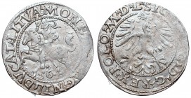 Collection of polish halfgroats
Sigismund II Augustus, Halfgroat 1564, Vilnius 
 Sigismund II Augustus, Halfgroat 1564, Vilnius Bardzo ładny egzempl...