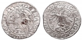 Collection of polish halfgroats
Sigismund II Augustus, Halfgroat 1564, Vilnius 
 Sigismund II Augustus, Halfgroat 1564, Vilnius Bardzo ładny egzempl...