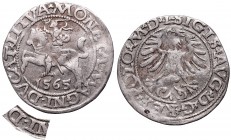 Collection of polish halfgroats
Sigismund II Augustus, Halfgroat 1565, Vilnius RRR 
 Sigismund II Augustus, Halfgroat 1565, Vilnius Obiegowy egzempl...