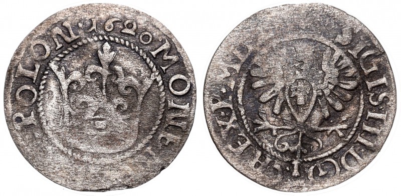 Collection of polish halfgroats
Sigismund III, Halfgroat 1620, Bromberg R3 
 S...