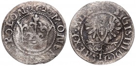 Collection of polish halfgroats
Sigismund III, Halfgroat 1620, Bromberg R3 
 Sigismund III, Halfgroat 1620, Bromberg Ogromnej rzadkości pozycja, pos...