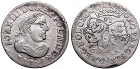 Collection of John III Sobieski coins
John III Sobieski, 6 groschen 1684, Bromberg 
 John III Sobieski, 6 groschen 1684, Bromberg Ładny, dobrze wybi...