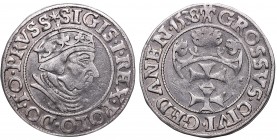 Poland 1506-1795
Sigismund I the Old, Groschen 1538, Danzig 
 Sigismund I the Old, Groschen 1538, Danzig Naturalny obiegowy egzemplarz. Patyna, nalo...
