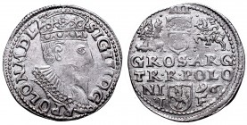 Poland 1506-1795
Sigismund III, 3 groschen 1596, Olcusia 
 Sigismund III, 3 groschen 1596, Olcusia Bardzo ładny egzemplarz. Patyna, nalot. Nieopisan...