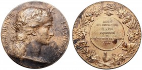 World medals
Francja, medal 1909 srebro 
 Francja, medal 1909 srebro Srebro złocone .950, średnica 41 mm, waga 37,46 g. 
Grade: XF 

 Medale zagr...