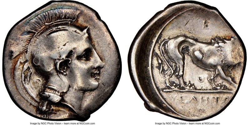 LUCANIA. Velia. Ca. 340-300 BC. AR didrachm or nomos (23mm, 11h). NGC Choice Fin...